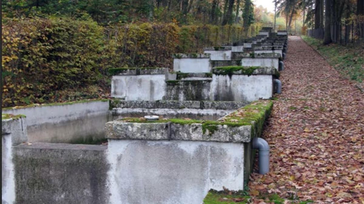 Es la piscifactoría más antigua de España y se podrá visitar este verano: horarios, precios y dónde comprar las entradas