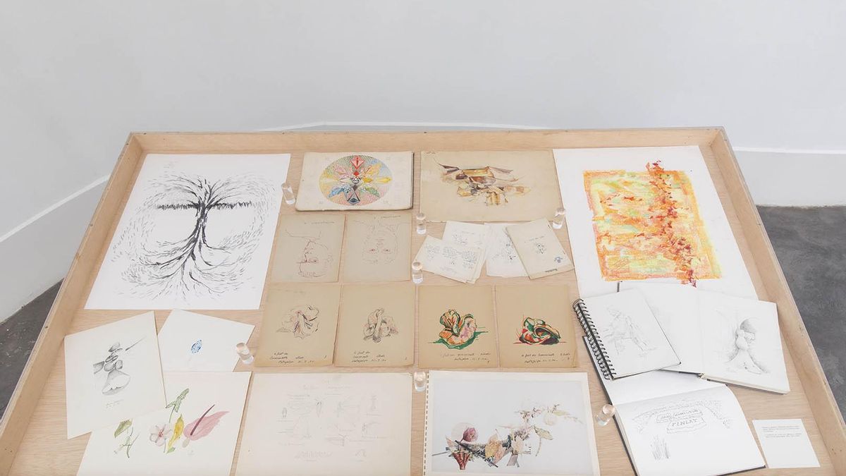 Exposición en el CDAN