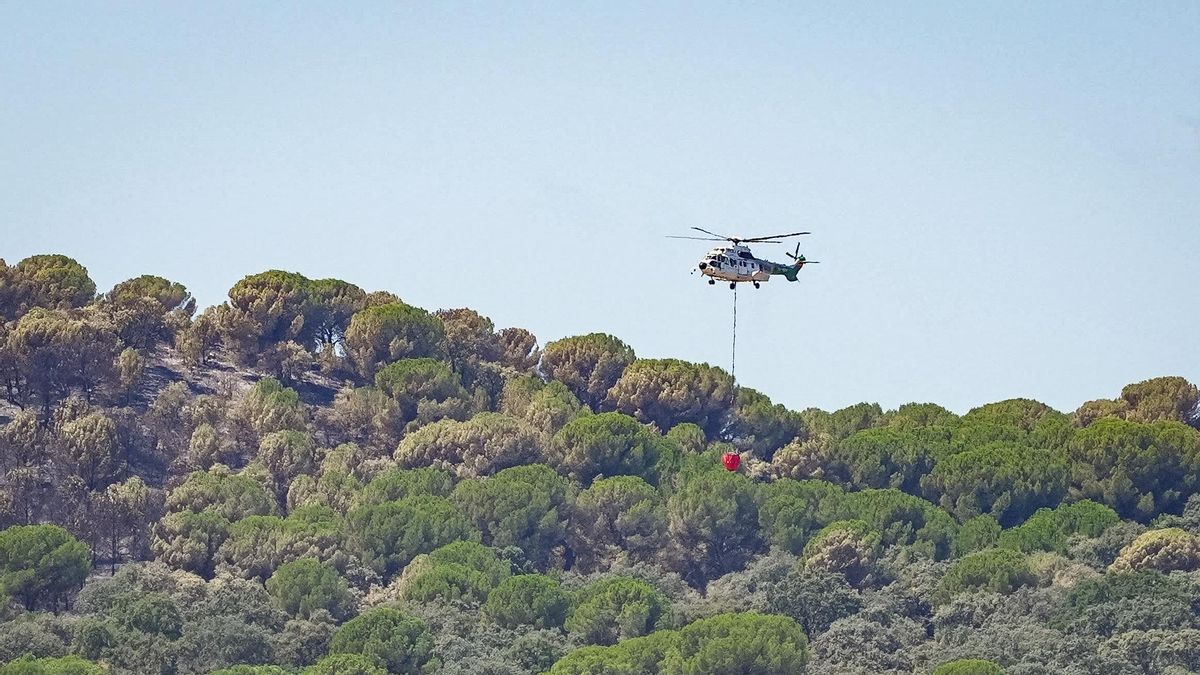 Evolución favorable del incendio de la Sierra de Córdoba, aunque habrá que esperar para los realojos