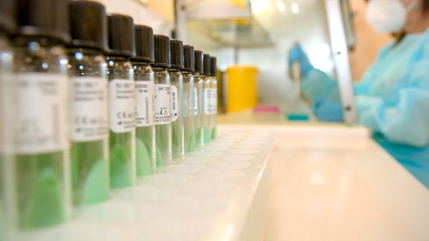 El SAS habilita un depósito de la triple vírica en Córdoba para reforzar la vacunación ante el sarampión