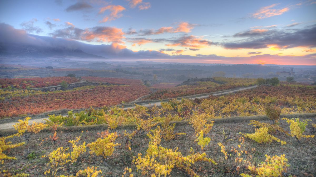 Otoño en Rioja Alavesa