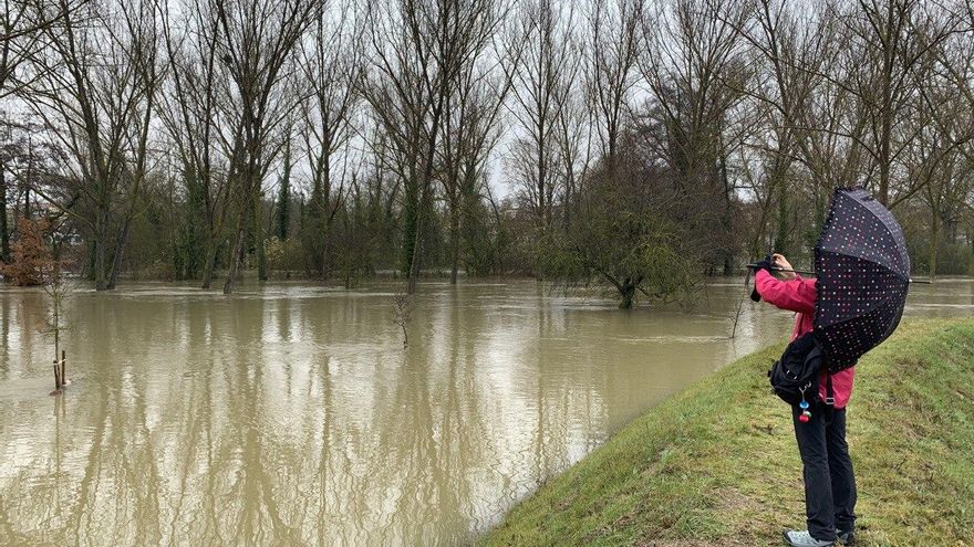 El río Zadorra en Asteguieta este sábado