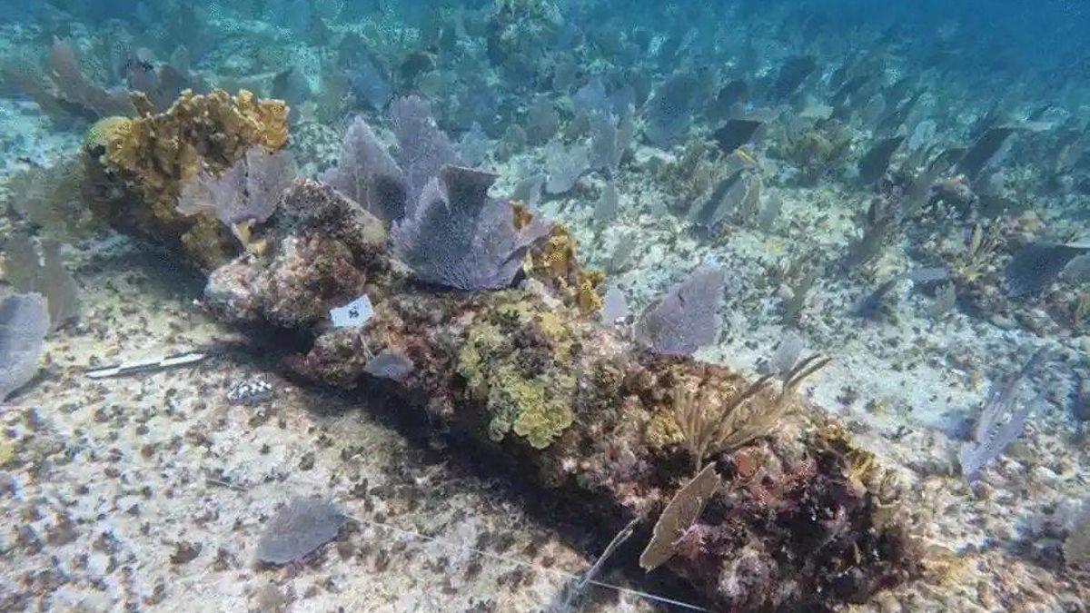 La costa elegida complica la navegación y revela una decisión arriesgada