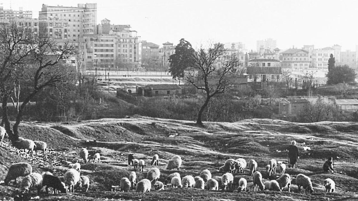 En las inmediaciones de la Avenida Juan XXXIII y lo que entonces era la Quinta de los Pinos