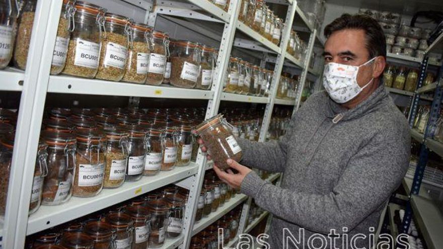 En busca de la recuperación de los cultivos agrícolas olvidados