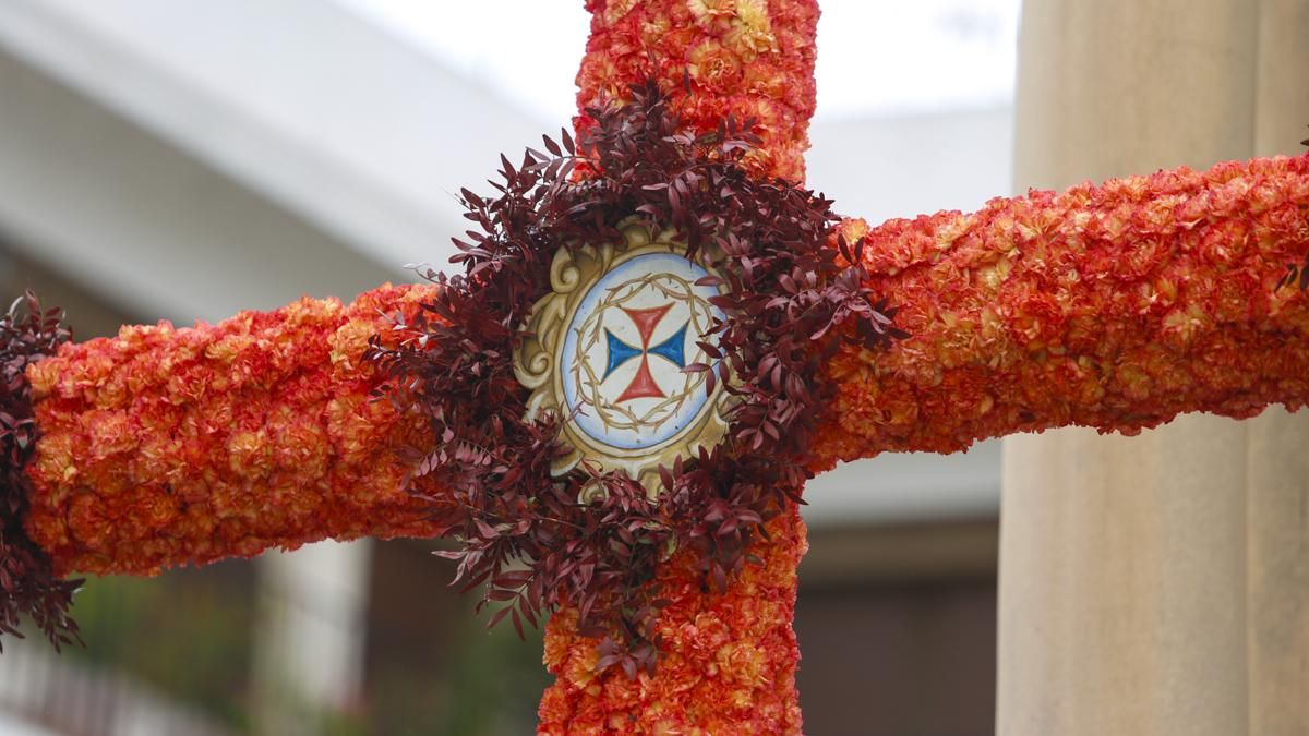 Cruces de Mayo 2026 - Hermandad de la Santa Faz