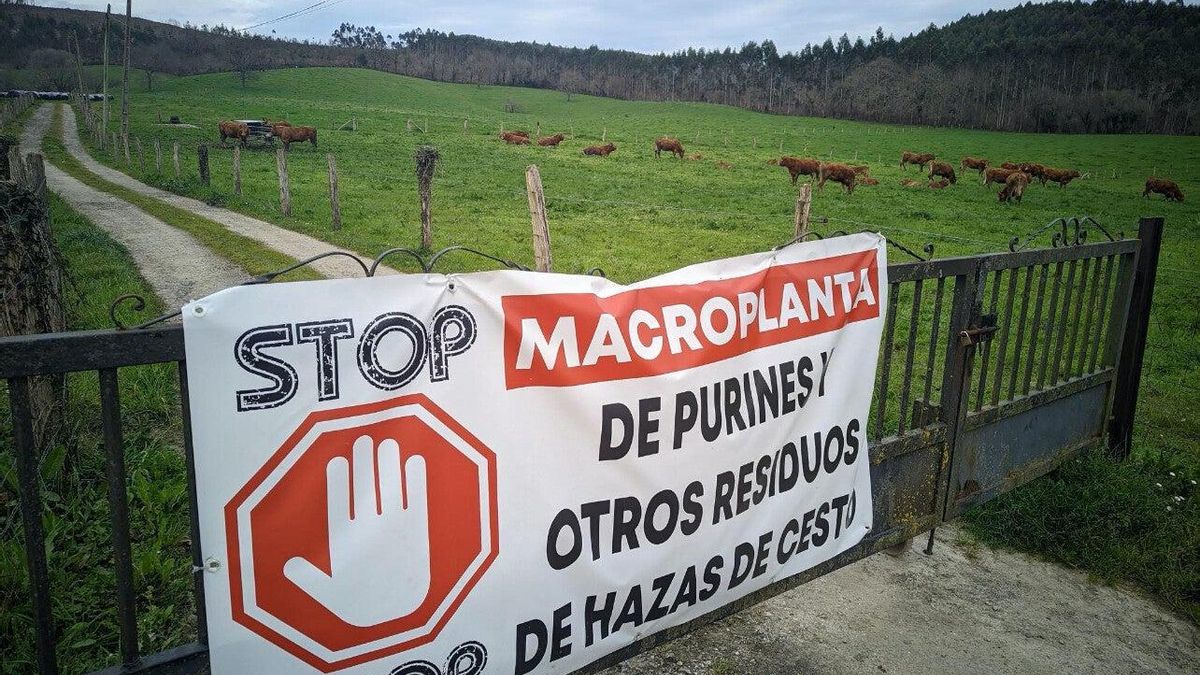 La asociación Stop Macroplanta Hazas de Cesto entrega 10.000 firmas en el Parlamento