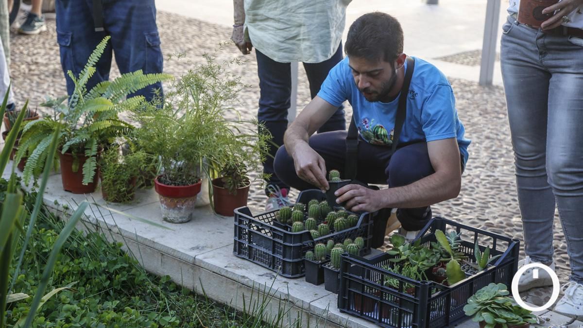 Mercado de trueque de plantas en los Jardines de Orive