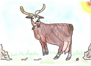 El dibujo de Mariana Pérez Cabrera  obtuvo el segundo premio.