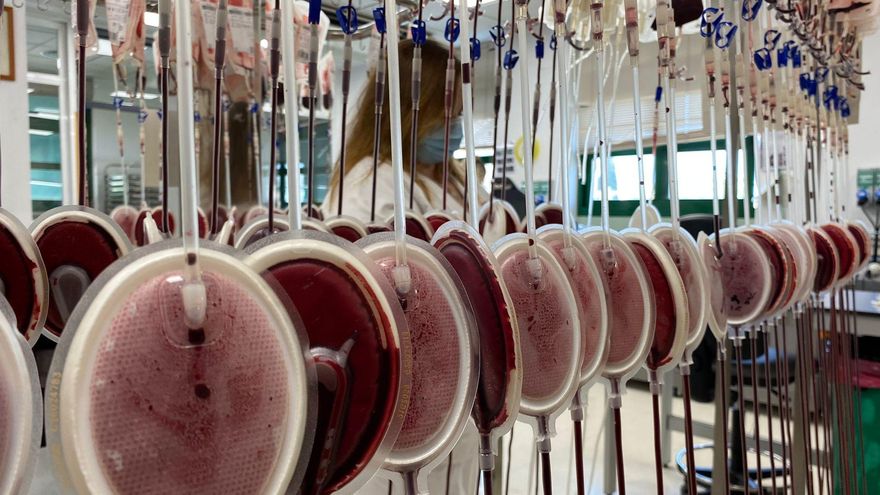 El camino de la sangre donada: de un acto "generoso" a la mesa de operaciones