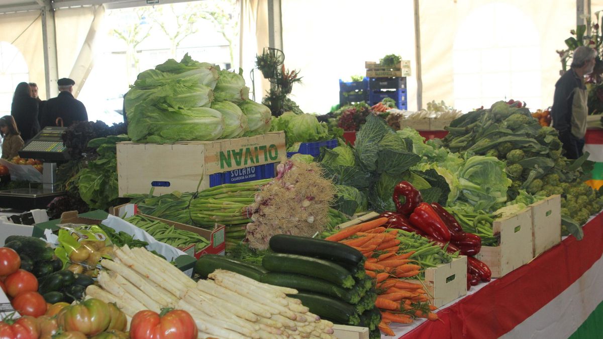 Jornadas Gastronómicas de la Verdura
