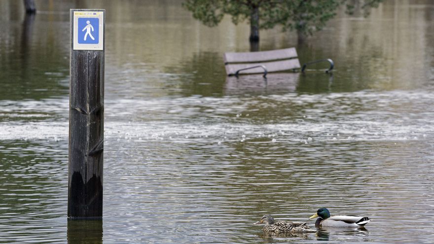 La CHD informa de "caudales excepcionalmente altos" en el río Adaja a su paso por Ávila