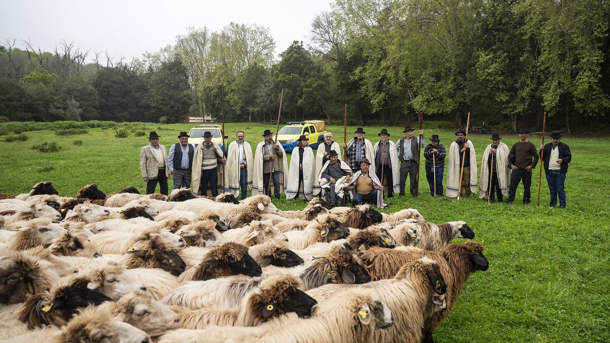 Pastores y Cabildo renuevan el acuerdo que establece los compromisos para prevenir incendios en Gran Canaria