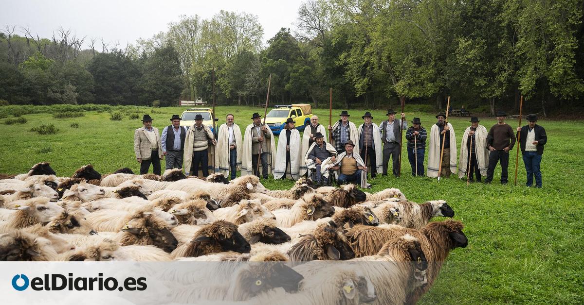 Pastores y Cabildo renuevan el acuerdo que establece los compromisos para prevenir incendios en Gran Canaria