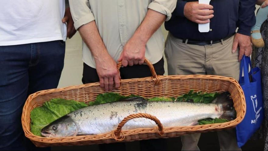 A 2.353 euros el kilo de salmón: un restaurante de Madrid bate récords pujando por el 'campanu' asturiano