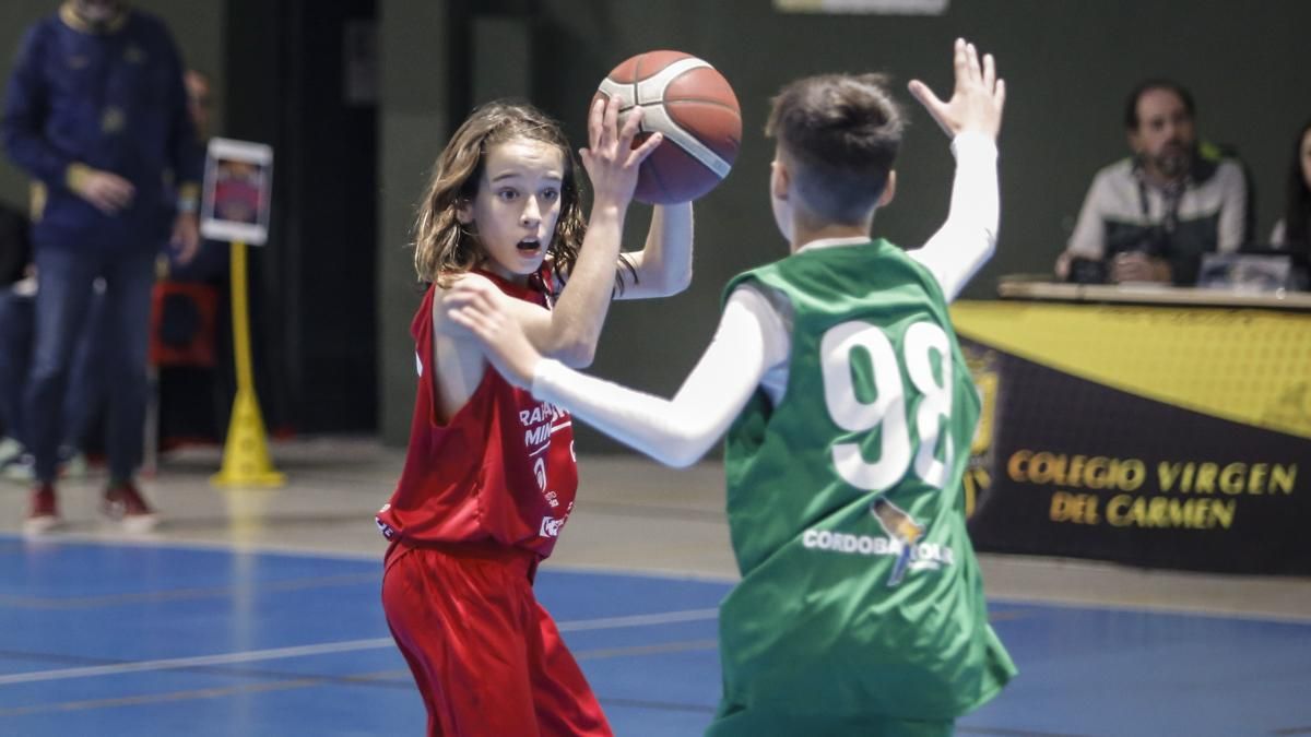 Memorial Rafael Rojano de Minibasket