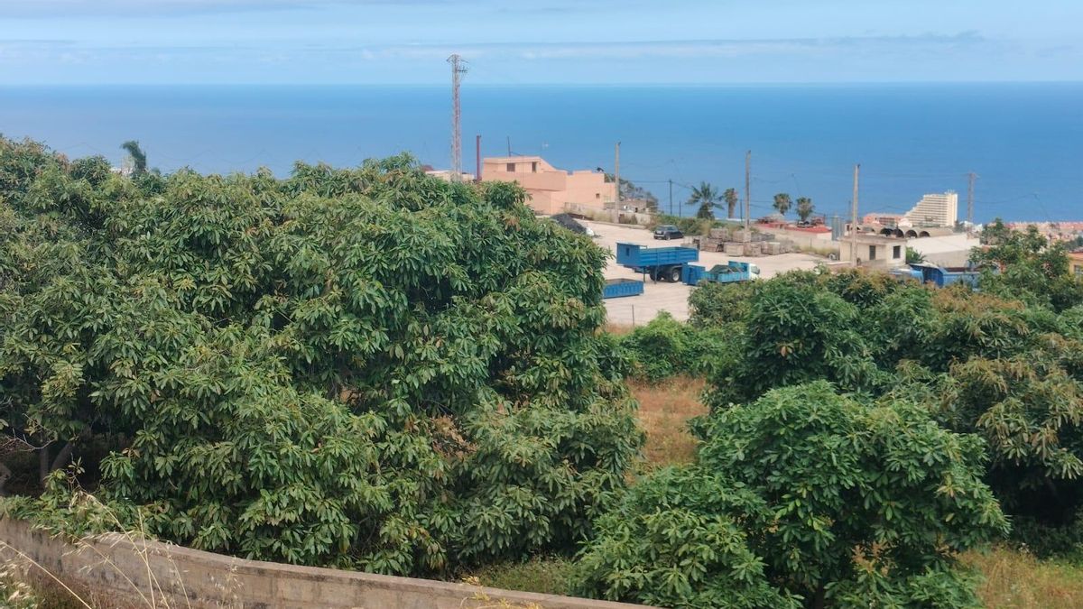 Partial view of the land where the plant is intended to be located, right behind a group of houses.