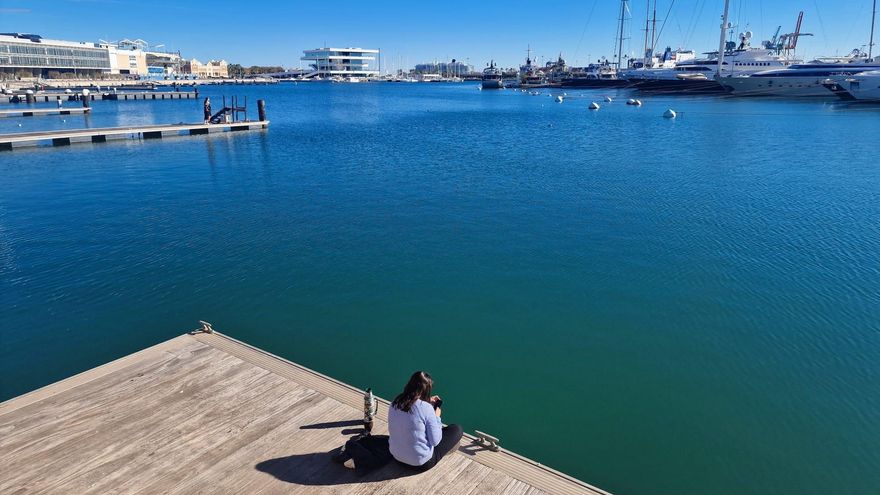 El Puerto de València crea dos plazas de subdirección y una jefatura "ante la inminente liquidación del Consorcio Valencia 2007"