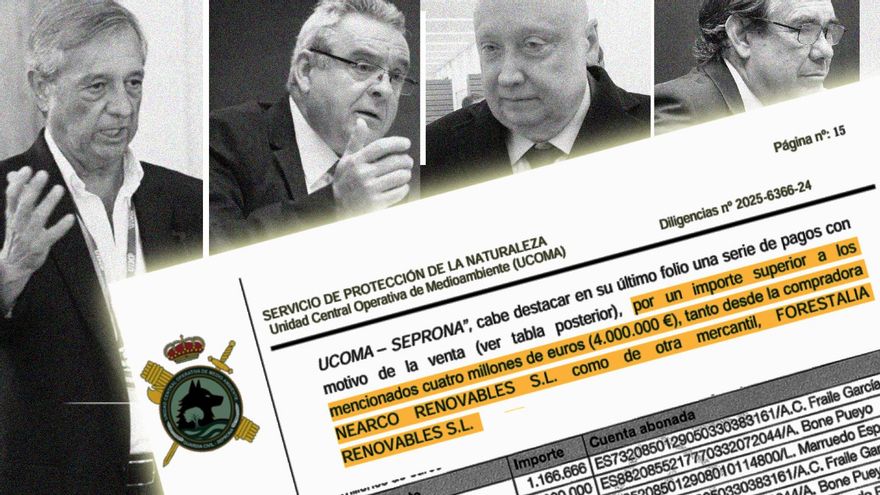Radiografía de un saqueo: quién es quién en la trama de Forestalia desarticulada por la Guardia Civil