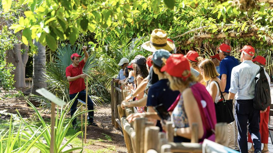 Visita al Palmetum en Santa Cruz de Tenerife