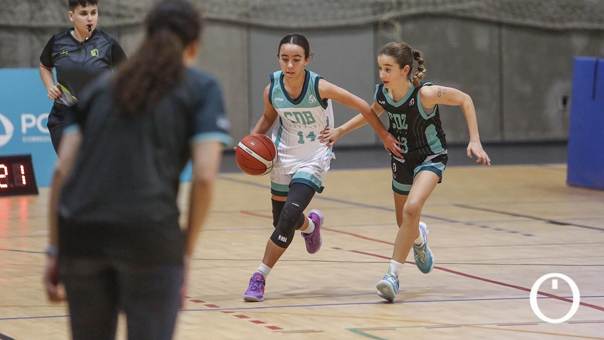 Finales del campeonato de andalucía de minibasket femenino