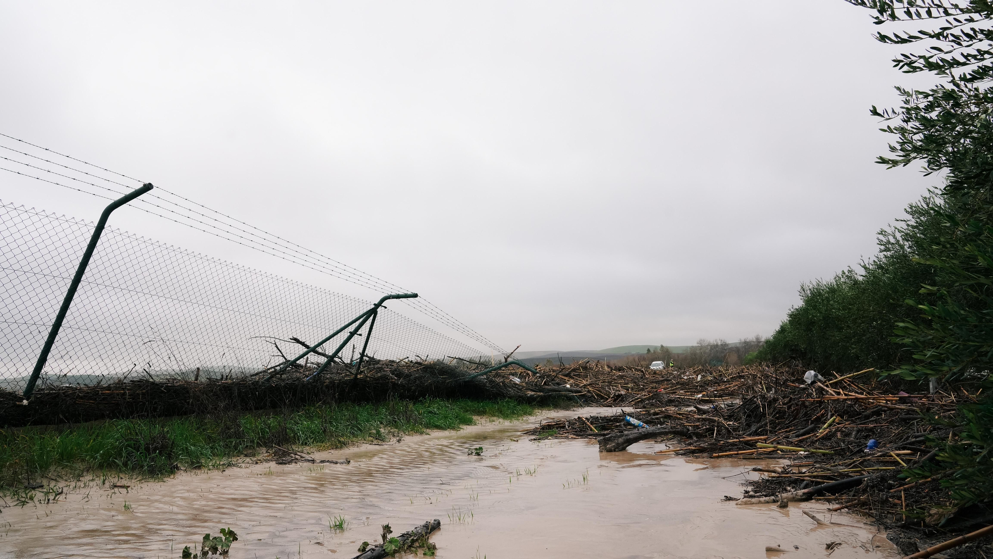 El lodo y el barro, dentro de las parcelas de las calles Perdiz y La Tórtola