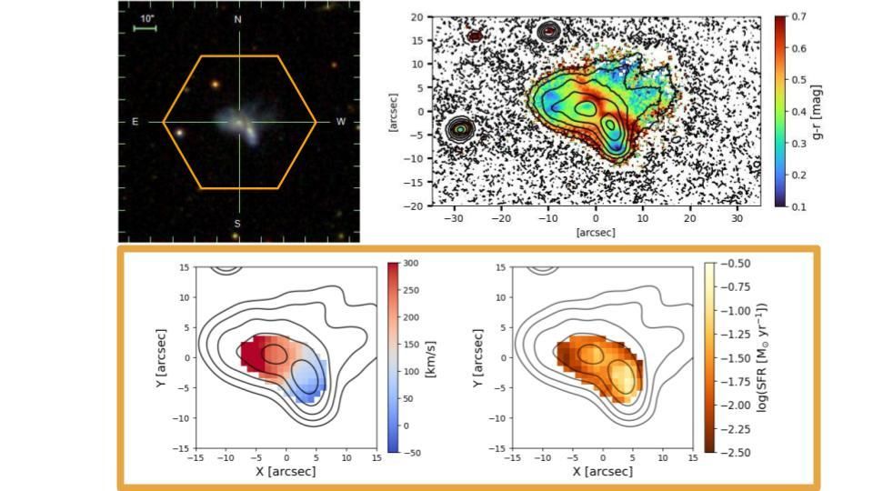 Fusión de galaxias enanas observada con el instrumento PPAK en el observatorio de Calar Alto. El campo de visión del instrumento (hexágono naranja sobre la imagen del SDSS, arriba a la izquierda) captura completamente el sistema, incluidas sus tenues características de marea que se extienden hacia los bordes. Ambos componentes en fusión muestran rotación (mapa de velocidad del gas, abajo a la izquierda) y una tasa de formación estelar excepcionalmente alta (mapa logarítmico de la SFR, abajo a la derecha). Imágenes profundas en dos colores (bandas g y r, que generan el mapa de color “azul menos rojo” arriba a la derecha) del Telescopio Isaac Newton revelan una llamativa distribución de polvo, probablemente producida por ondas de choque producidas durante la fusión. Créditos: B. Bidaran / Universidad de Granada / CAHA / INT.