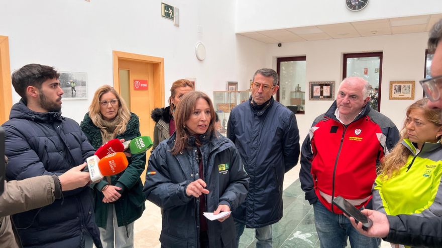 La delegada del Gobierno de la Junta de Andalucía en Málaga, Patricia Navarro, en una atención a medios