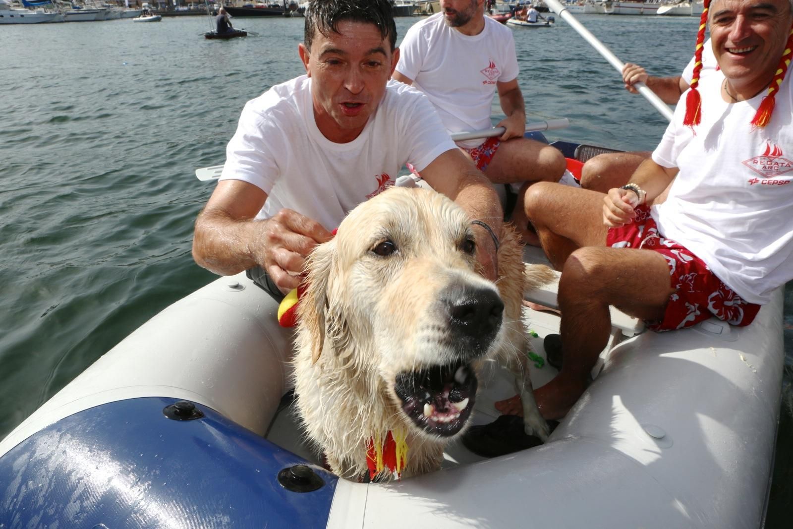 Inauguración de la regata ARC en Las Palmas de Gran Canaria. (Alejandro Ramos).