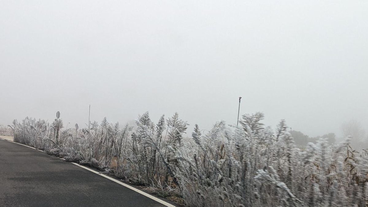 La cencellada pinta de blanco la comarca del Páramo leonés