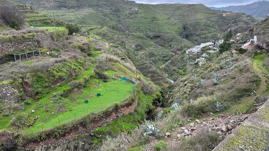 Asociaciones de la Reserva de la Biosfera de Gran Canaria cargan contra la futura Ley Canaria de Montes