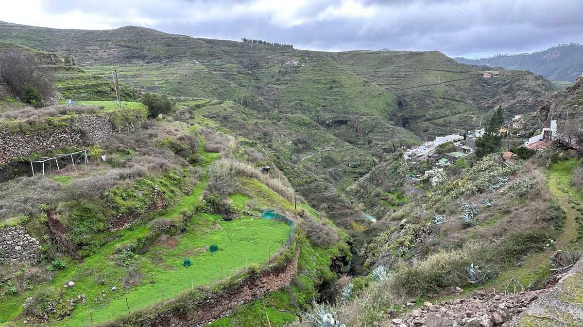 Asociaciones de la Reserva de la Biosfera de Gran Canaria cargan contra la futura Ley Canaria de Montes