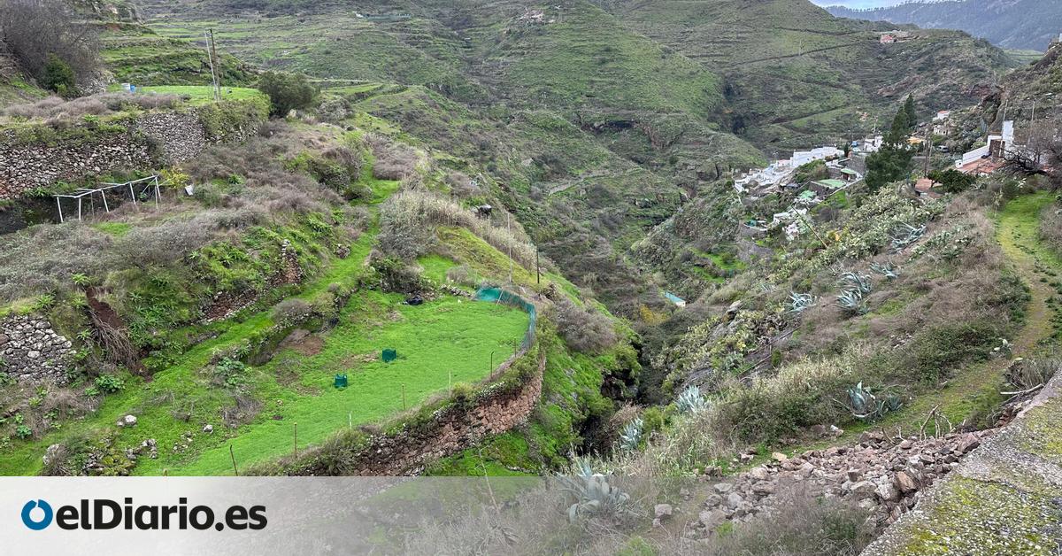 Asociaciones de la Reserva de la Biosfera de Gran Canaria cargan contra la futura Ley Canaria de Montes