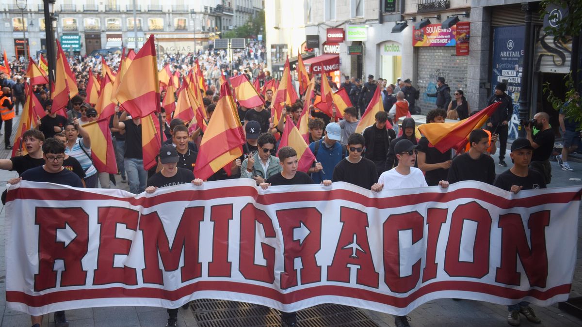 Manifestación convocada por Falange en Madrid bajo el lema  “Remigración. Por unos barrios seguros”.