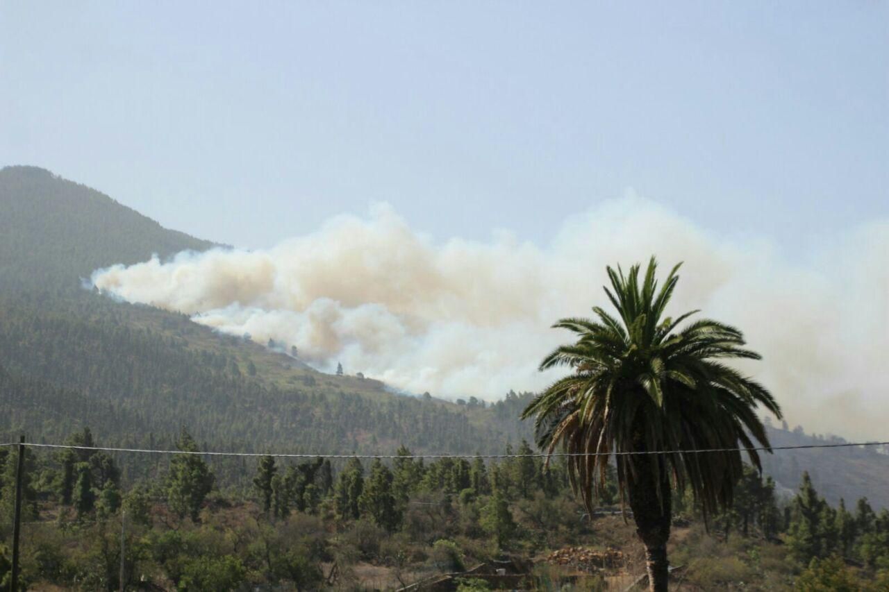 Incendio en el municipio de El Paso