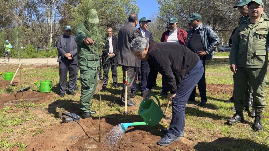 Marruecos intenta restaurar sus bosques urbanos degradados por la sequía