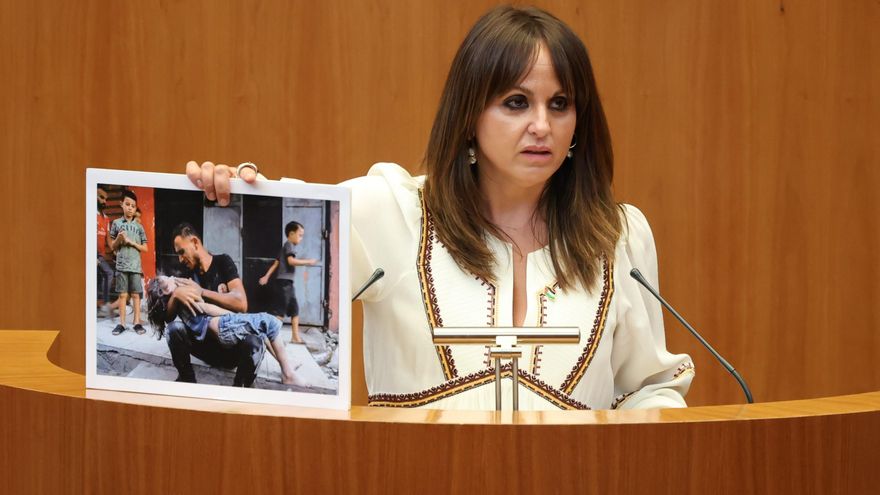 El PP de Castilla y León lamenta la "tragedia y masacre" de Gaza pero elude hablar de "genocidio"