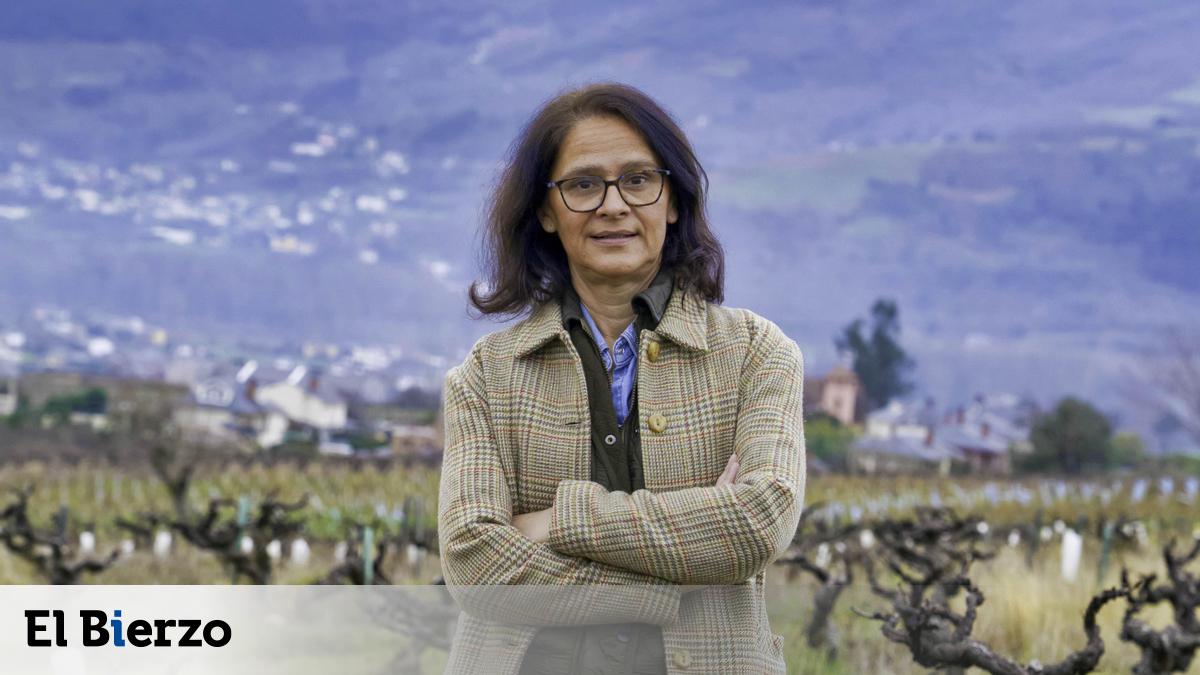 Bierzo Enoturismo, cerca ya de un centenar de socios para aupar un sector en auge