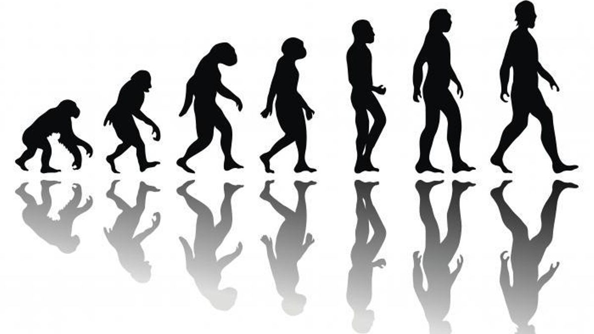 Día Mundial de la Antropología: ¿por qué se celebra el 19 de febrero?