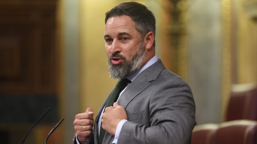 El líder de Vox, Santiago Abascal.