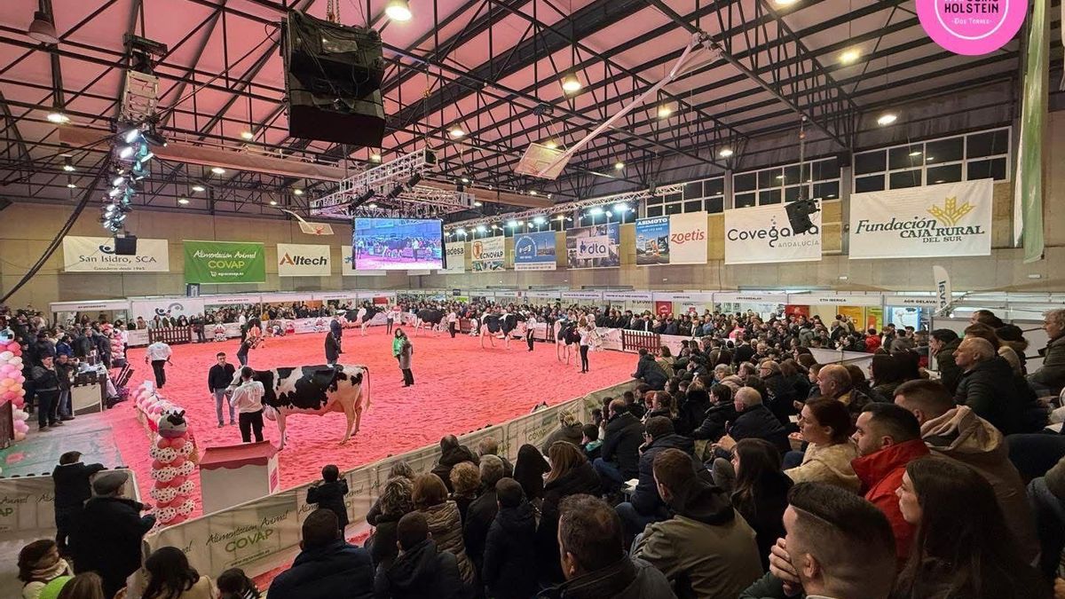La Feria del Ganado de Dos Torres suspende su XVIII edición por casos de dermatosis nodular bovina en Cataluña