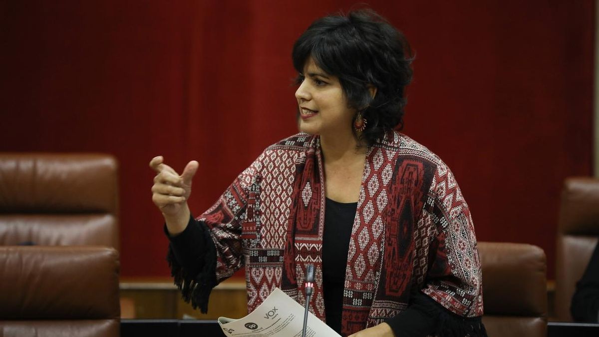 Teresa Rodríguez: "El PSOE se ha visto ante la sociedad andaluza como lo que es, un partido cargado de corrupción"