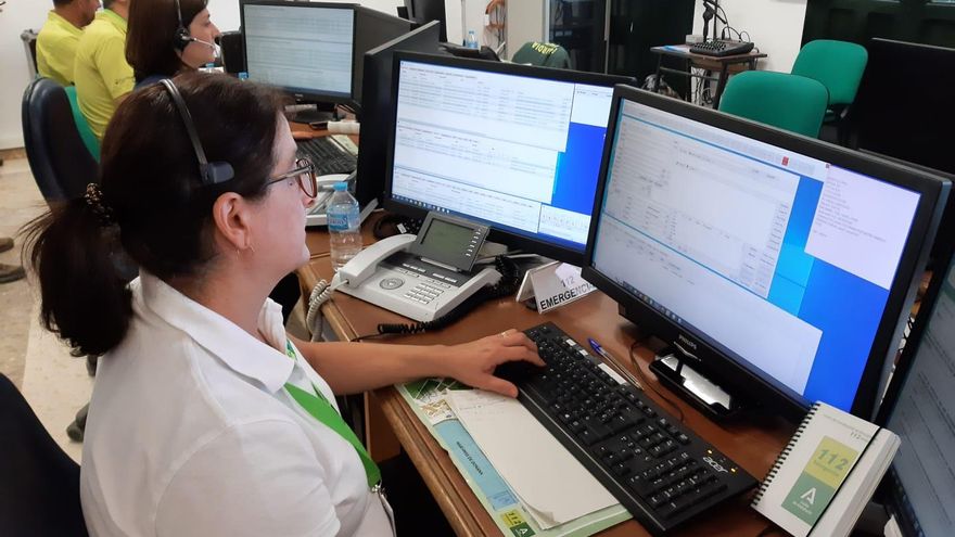 Un equino sin especificar, el segundo que muere este año en El Rocío