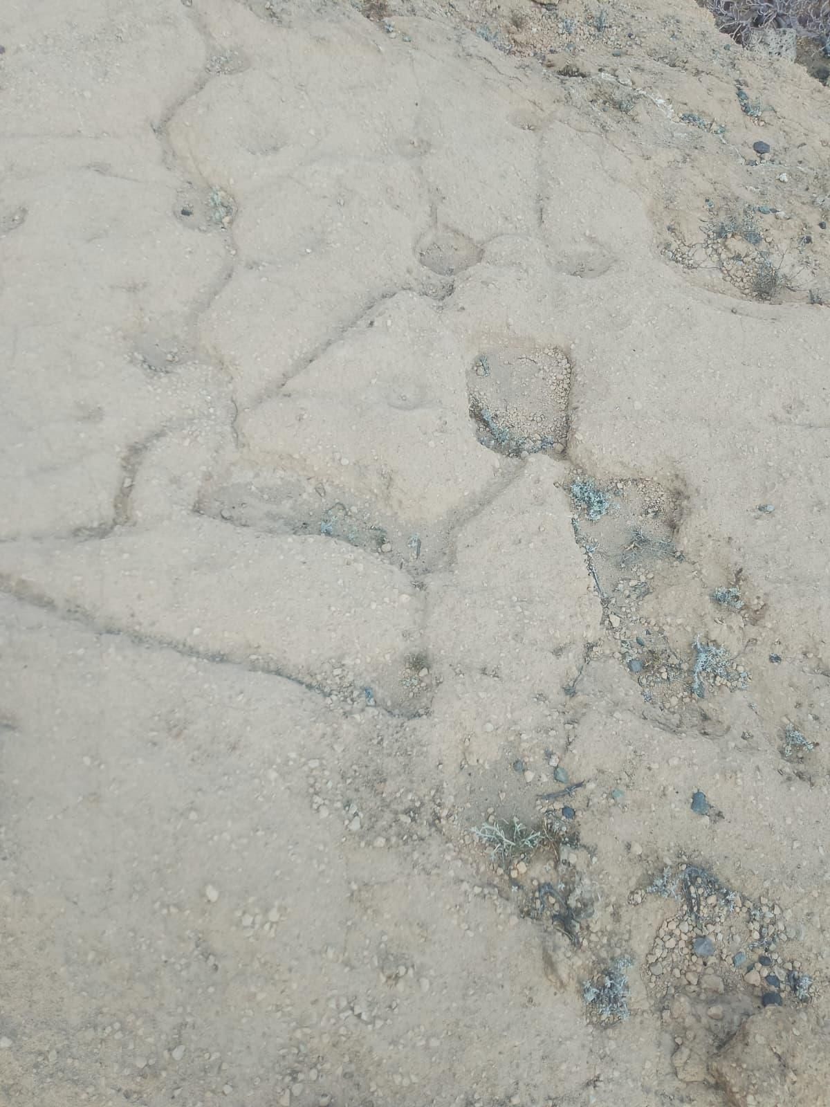 Estación de cazoletas de origen guanche, sobre la roca en el sur de Tenerife.
