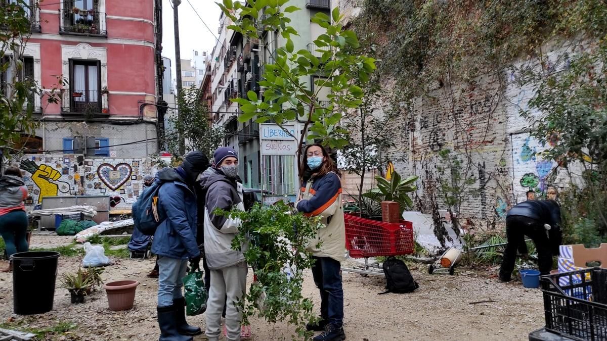 Árboles que se van al huerto del campus universitario de Agrónomos