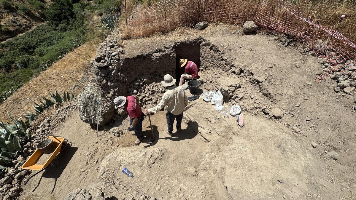 Nuevas pistas bajo las cuevas de Risco Caído: una prospección arqueológica ahonda en el pasado del Patrimonio Mundial de Gran Canaria