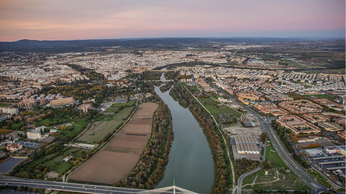 Casi un tercio de los inmuebles de Córdoba están en manos de multipropietarios y grandes tenedores