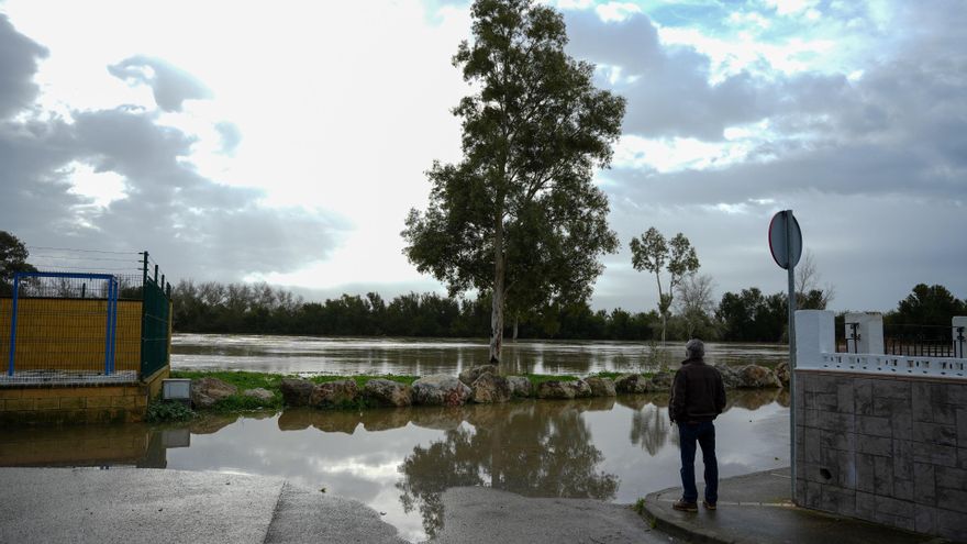 Imágenes del río Guadalete a su paso por la barriada de la Corta . A 30 de enero de 2026 en Jerez de la Frontera, Cádiz (Andalucía, España).