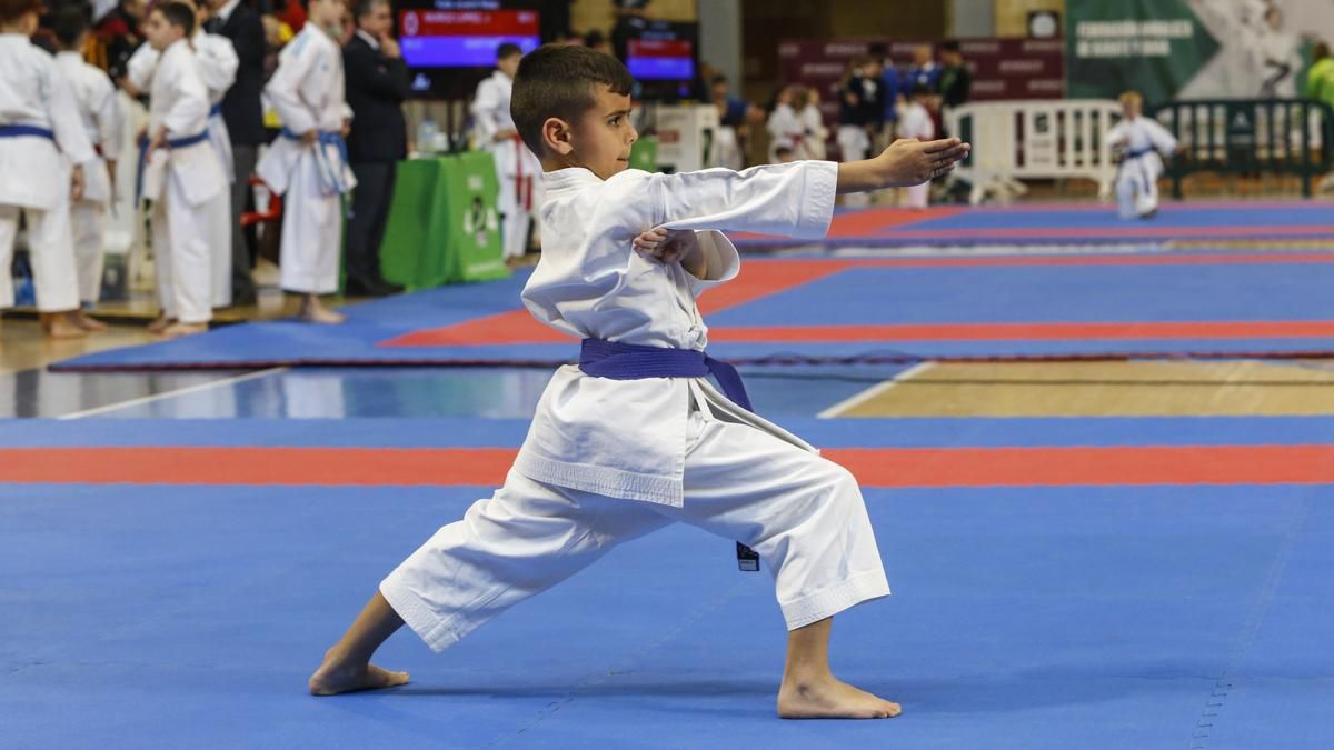 Campeonato de Andalucía infantil de kárate