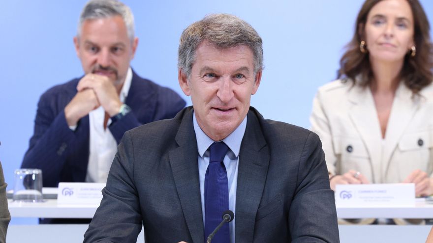 El presidente del Partido Popular, Alberto Núñez Feijóo.